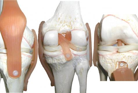 How to protect joints and ligaments by means of collagen"