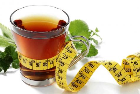 How to lose weight on green tea