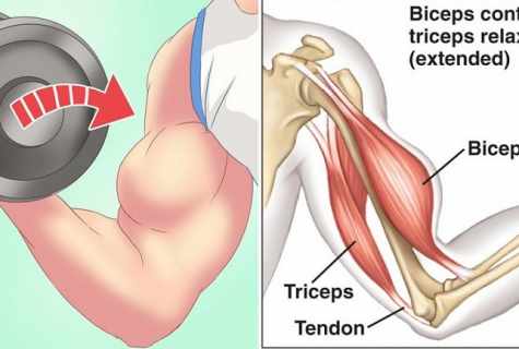 As it is correct to swing the biceps