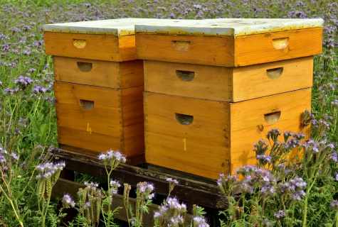 How to make beehive