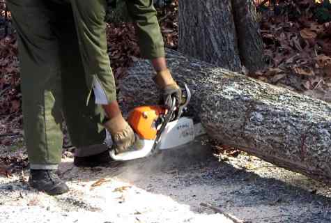 How to cut tree