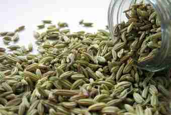 To young mothers: dill water for newborns from fennel seeds