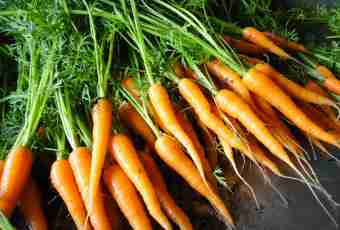 What grade of carrots it is better to buy for long-term storage