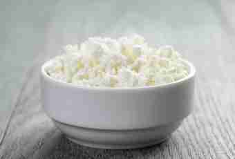 Useful properties of cottage cheese. As it is correct to choose cottage cheese